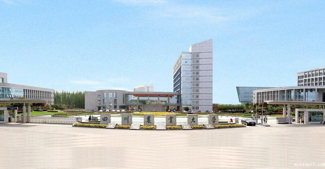 校领导班子2024年度考核获评优秀